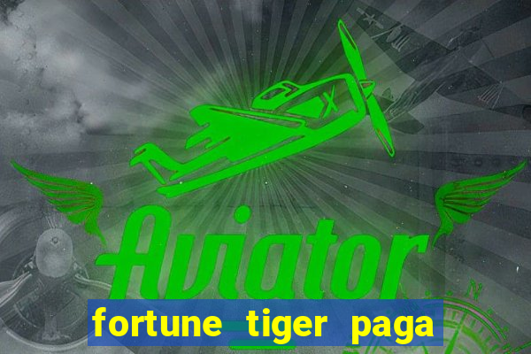 fortune tiger paga de madrugada